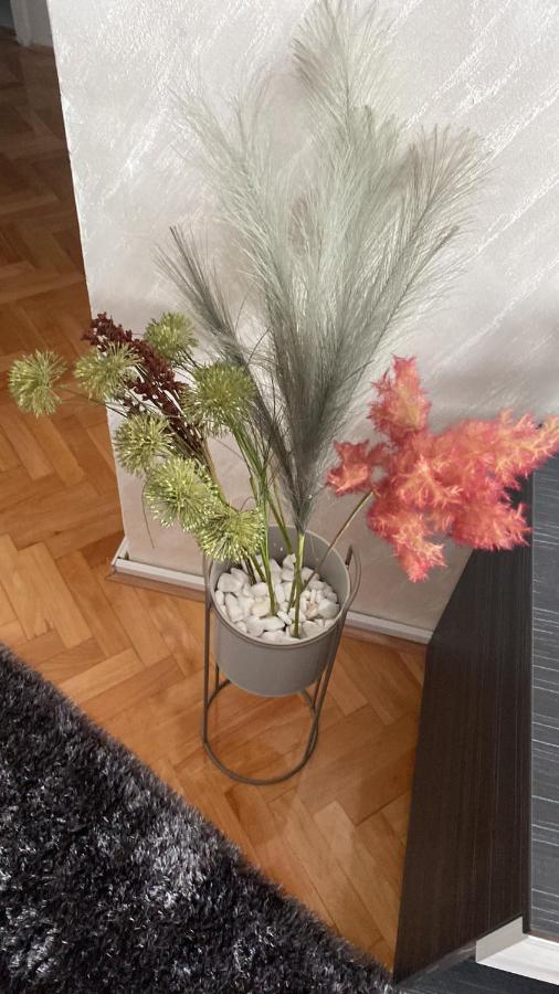 Apartman Bonaca Ni エクステリア 写真